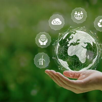 Embedding Sustainability in All Aspects of Your Business